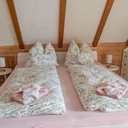 B8 Urlaubsmagie Bergsteigerwohnung Mit Balkon Mit Aussicht Aufs Elbsandsteingebirge Sebnitz